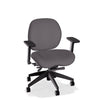 Lifestyles Mid-Back Chair - Basic