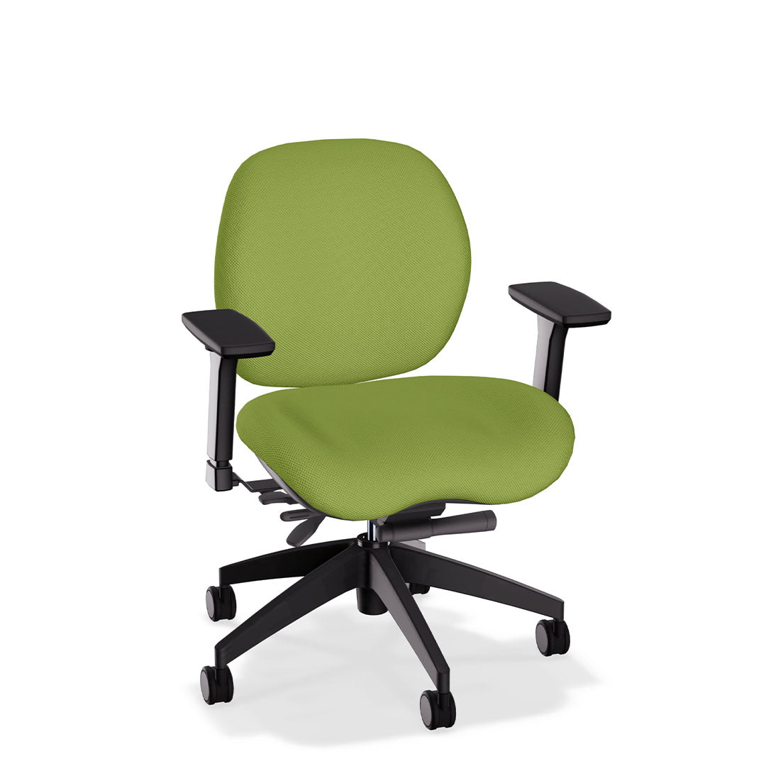 Lifestyles Mid-Back Chair - Basic