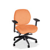 Lifestyles Mid-Back Chair - Basic