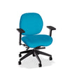 Lifestyles Mid-Back Chair - Basic