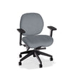 Lifestyles Mid-Back Chair - Basic