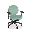 Lifestyles Mid-Back Chair - Basic