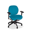 Lifestyles Mid-Back Chair - Basic
