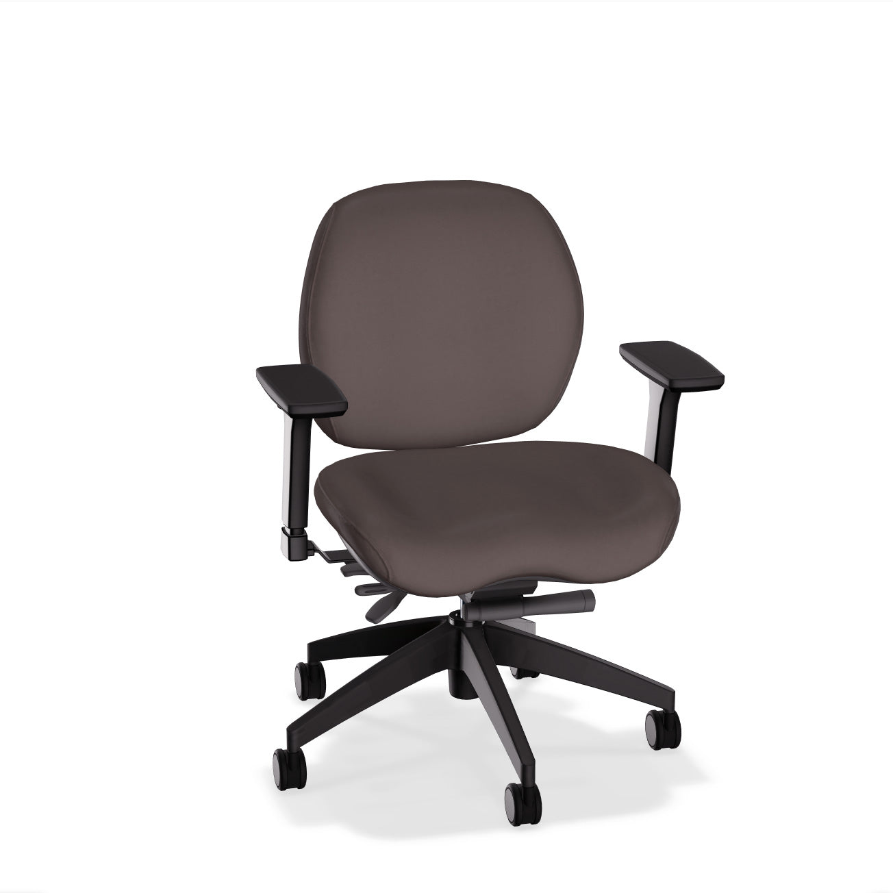 Lifestyles Mid-Back Chair - Basic