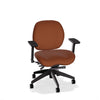 Lifestyles Mid-Back Chair - Basic