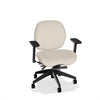 Lifestyles Mid-Back Chair - Basic