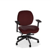 Lifestyles Mid-Back Chair - Basic