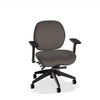 Lifestyles Mid-Back Chair - Basic