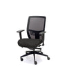 Palisades Classic Mesh-Back Chair