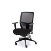 Palisades Classic Mesh-Back Chair