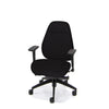 Palisades Classic Mid-Back Chair