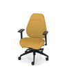 Palisades Classic Mid-Back Chair