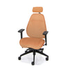 Palisades Classic Mid-Back Chair
