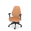 Palisades Classic Mid-Back Chair