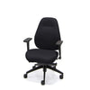 Palisades Classic Mid-Back Chair