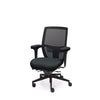 Palisades Elite Mesh-Back Chair