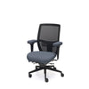 Palisades Elite Mesh-Back Chair