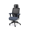 Palisades Elite Mesh-Back Chair