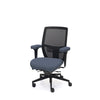 Palisades Elite Mesh-Back Chair