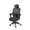 Palisades Elite Mesh-Back Chair