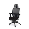 Palisades Elite Mesh-Back Chair