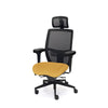 Palisades Elite Mesh-Back Chair