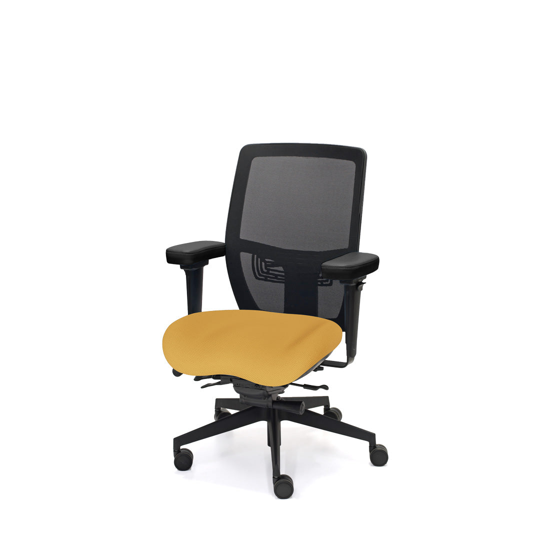 Palisades Elite Mesh-Back Chair
