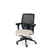 Palisades Elite Mesh-Back Chair
