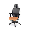 Palisades Elite Mesh-Back Chair