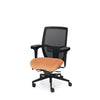 Palisades Elite Mesh-Back Chair
