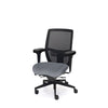 Palisades Elite Mesh-Back Chair