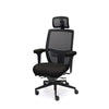 Palisades Elite Mesh-Back Chair