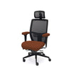 Palisades Elite Mesh-Back Chair