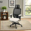 Palisades Elite Mesh-Back Chair