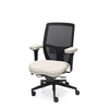 Palisades Elite Mesh-Back Chair