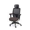 Palisades Elite Mesh-Back Chair