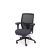 Palisades Elite Mesh-Back Chair