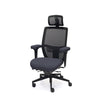 Palisades Elite Mesh-Back Chair
