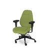 Palisades Elite Mid-Back Chair