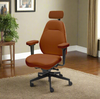Palisades Elite Mid-Back Chair